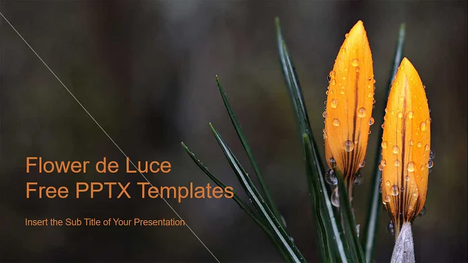 Flower de luce presentation template