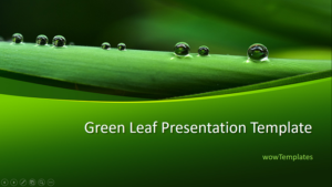 Green Leaf Infographic Presentation Template feature image
