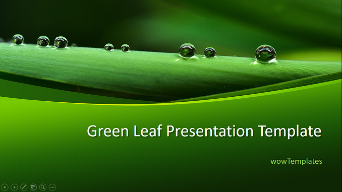 Green Leaf Infographic Presentation Template feature image